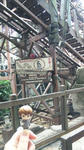 DVC00274.JPG