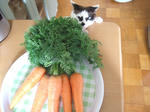 DSCF4614.JPG