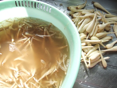 DSCF4790.JPG