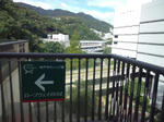 WP_000072.jpg