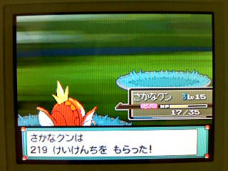 ポケモン プラチナ６日目 うさぎ愛好会 旧