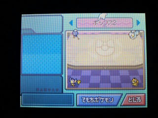 ポケモン プラチナ９日目 ちょっと寄り道 うさぎ愛好会 旧