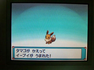 ポケモン プラチナ１７日目 ズイタウン到着 タマゴ増殖 うさぎ愛好会 旧