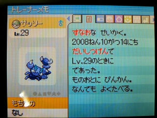 ポケモン プラチナ２６日目 ２１４ばんどうろ リッシこのほとり ノモセシティ うさぎ愛好会 旧