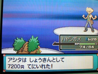 ポケモン プラチナ２７日目 Vsマキシマムかめん Inノモセジム うさぎ愛好会 旧