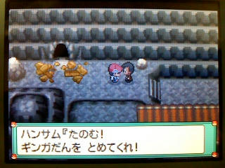 ポケモン プラチナ３８日目 テンガンざん うさぎ愛好会 旧