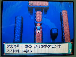 ポケモン プラチナ４０日目 やぶれたせかい うさぎ愛好会 旧