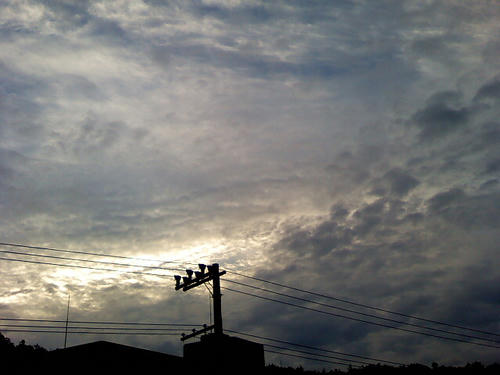 Image445.jpg
