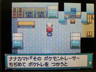 ポケモン プラチナ５５日目 ｉｎパルパーク うさぎ愛好会 旧