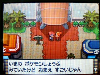 ポケモン リゾートエリア 別荘