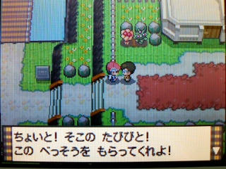 ポケモン プラチナ５９日目 ファイトエリア リゾートエリア うさぎ愛好会 旧
