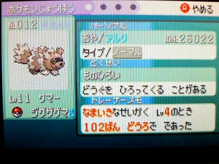 ポケモン エメラルド その１ うさぎ愛好会 旧
