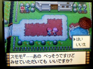 ポケモン プラチナ 別荘 ダイゴ