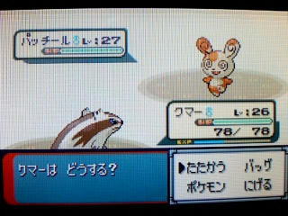 ポケモン エメラルド その３ うさぎ愛好会 旧