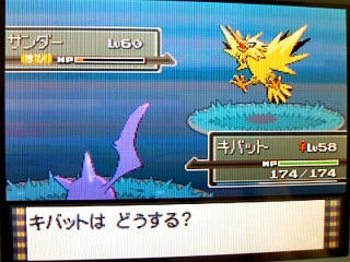 ポケモン プラチナ ファイヤー サンダー フリーザーの捕獲 うさぎ愛好会 旧