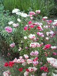200906091737000.jpg