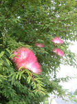 090709.jpg
