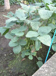 090713.jpg