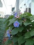 090729.jpg