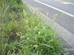 090806.jpg