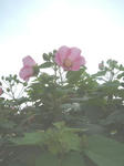 090902.jpg
