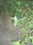 090903.jpg
