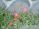 090909.jpg