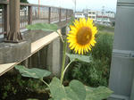 090910.jpg
