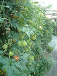 090912.jpg