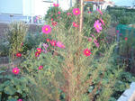 090930.jpg