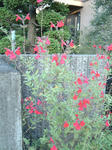 091013.jpg