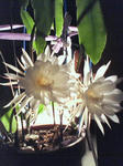200909052121000.jpg