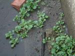 09121203.jpg