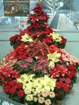 09121211.jpg