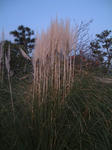 09121204.jpg