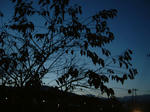 09121209.jpg