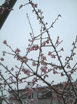 10030302.jpg