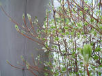 10041104.jpg