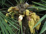 DSCN0741.jpg