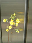 10050504.jpg