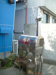 10050905.jpg