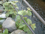 10050913.jpg