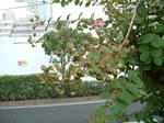 9f64a994.jpg