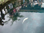 256e4619.jpg
