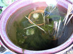 110304.jpg