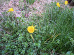 110426.jpg
