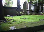 110512.jpg
