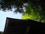 110514.jpg