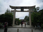 1109192.jpg