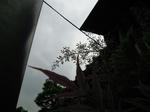 120626.jpg